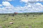 0.125 ac Residential Land at Kitengela - 14