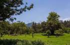 Land in Ngong - 8
