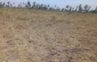 5 ac Land at Sholinke - 5