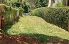 0.5 ac Residential Land at Muthithi - 1