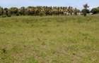 Residential Land in Mtwapa - 3