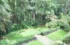 4 Bed House with En Suite at Muthaiga Road - 6
