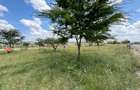 0.125 ac Residential Land at Kiserian - 4