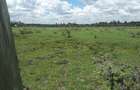 0.1 ha Residential Land in Ongata Rongai - 13