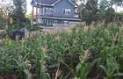 0.0113 ac Residential Land in Ngong - 1