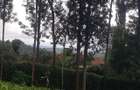 1.25 ac Land in Ngong - 9