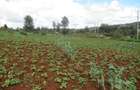 4.5 ac Land at Kibiko - 5
