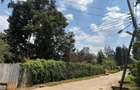 0.5 ac Residential Land at Muthithi Estate Gardens - 8