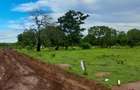 Land in Vipingo - 3