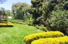 0.5 ha Commercial Property with Parking at Peponi Road - 2