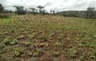 0.2 ha Residential Land in Ngong - 9