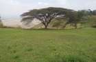 0.25 ac Land in Ngong - 2