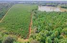 1,000 m² Residential Land at Zuri Springs Estate - 14