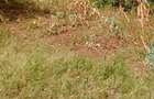 Residential Land at General Mathenge - 2