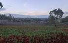 Residential Land at Ruiru Githunguri Road - 11