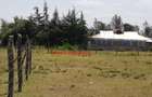 500 m² Land in Nanyuki - 14