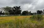 1 ac Residential Land in Karen - 2