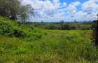 607 ac Land at Makuyu - 4