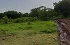 Land in Vipingo - 13