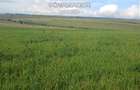 Land in Narok - 4