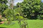 1 Bed House with En Suite in Lower Kabete - 2