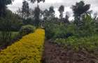 1.25 ac Land in Ngong - 6