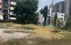 0.33 ac Land at Oceanic Road - 2