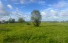12,950 m² Commercial Land in Kilifi - 8
