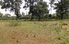 0.5 ac Residential Land at Nyari - 5