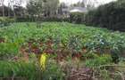 0.25 ac Residential Land in Ngong - 4