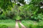 Land in Vipingo - 1 Land in Vipingo - 1