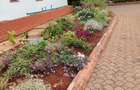 1 Bed House with Garden in Nyari - 8