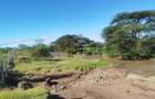 57 ac Land in Nanyuki - 11