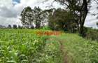 0.1 ha Residential Land at Kikuyu - 8