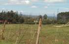 0.2 ha Residential Land in Ngong - 4