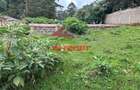 0.05 ha Commercial Land in Kikuyu Town - 10