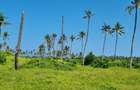 50 ac Land at Kilifi - 17