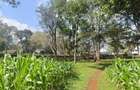 Commercial Land at Westlands - 3