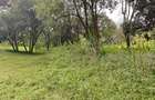 9 ac Land in Karen - 7
