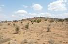 0.25 ac Land at Amboseli Road - 4