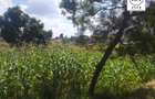 0.25 ac Land at Mwimuto - 5