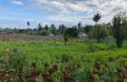 4,000 m² Land in Limuru - 7