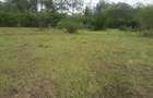 0.5 ac Residential Land in Karen - 7