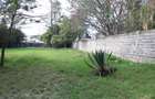 Residential Land in Lavington - 2