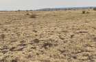 30 ac Land at Thika-Garissa Road - 3