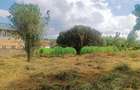 1,000 m² Residential Land at Riu-Nderi - 9