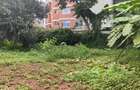 200 ac Land at Kilimani - 19