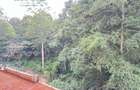 2 Bed Apartment with En Suite at Peponi Road - 11