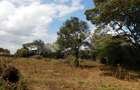 0.5 ac Residential Land at Nyari - 6