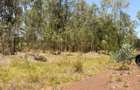 500 m² Land at Ruiru-Githunguri Road - 16
